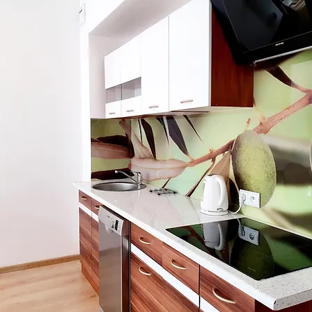 Nw Apartament U Kitki Wladyslawowo